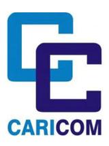 caricom ministers approve integrated work plan for single work coted